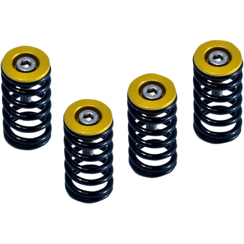 Clutch Spring Kit