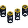 Clutch Spring Kit