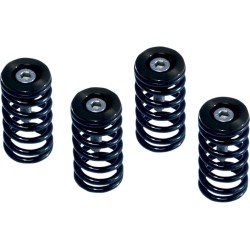 Clutch Spring Kit
