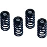 Clutch Spring Kit