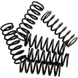 Hi-Temp Clutch Spring Kit