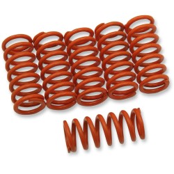 Clutch Spring Kit