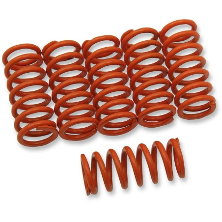 Clutch Spring Kit