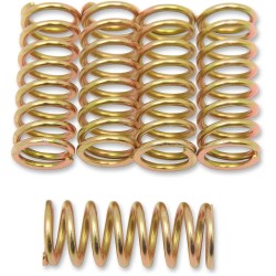 Clutch Spring Kit