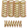 Clutch Spring Kit
