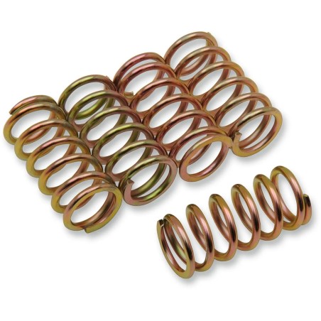 Clutch Spring Kit