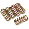 Clutch Spring Kit