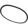 Standard Drive Belt