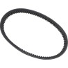 Standard Drive Belt
