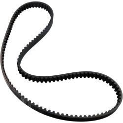 Rear Drive Belt