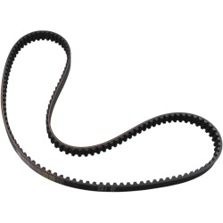Rear Drive Belt