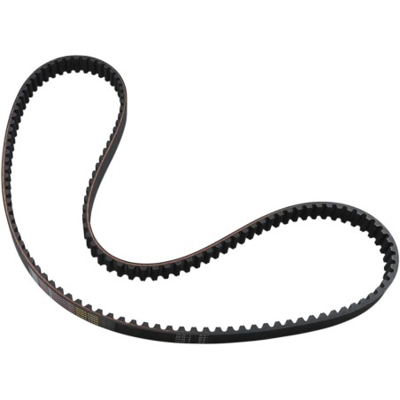 Rear Drive Belt