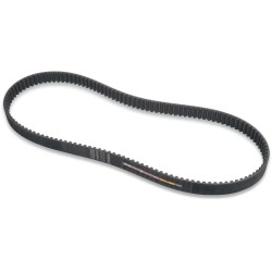 Rear Drive Belt