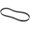 Rear Drive Belt