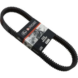G-Force  C12  Drive Belt