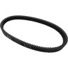 G-Force  C12  Drive Belt