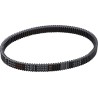 G-Force RedLine  Drive Belt