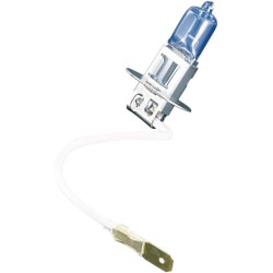 H-3 Super White Bulb