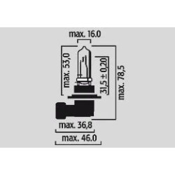 Ampoules halogène pour phare