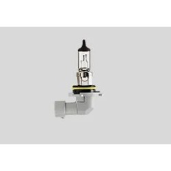 Ampoules halogène pour phare