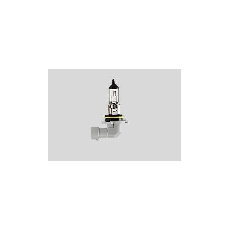 Ampoules halogène pour phare