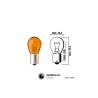 Filament Bulbs