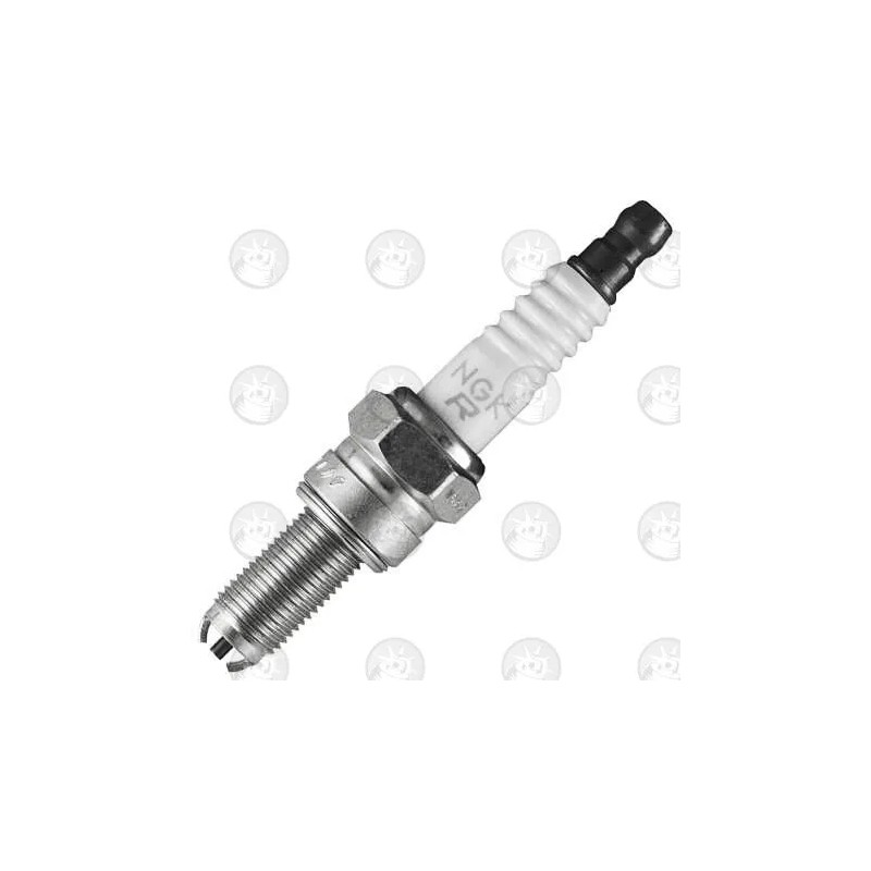 Special Spark Plug