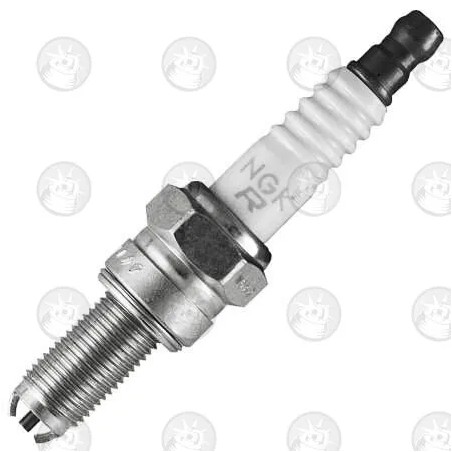 Special Spark Plug