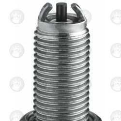 Special Spark Plug