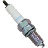 Iridium IX Spark Plug