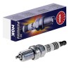 Iridium IX Spark Plug