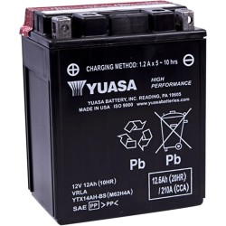High Performance AGM Maintenance-Free Battery