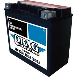 Batterie Drag Specialties YTX14L-FT