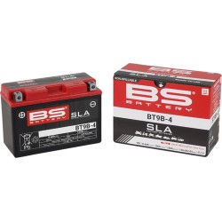 SLA Factory- Activated AGM Maintenance-Free Battery