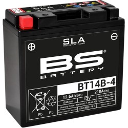SLA Factory- Activated AGM Maintenance-Free Battery