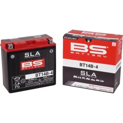SLA Factory- Activated AGM Maintenance-Free Battery