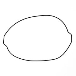 Joint de carter d'embrayage