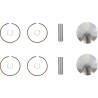 Piston Kit for 2 Stroke