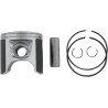 Platinum Series Piston Kit