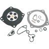 Carburetor Rebuild Kit