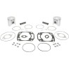 Piston Kit with Gaskets