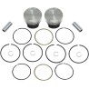 Tracker Series  Piston Kit