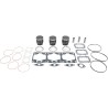 Piston Kit with Gaskets