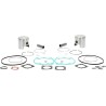 Piston Kit with Gaskets