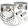 Piston Kit for Hot Set Up Kit