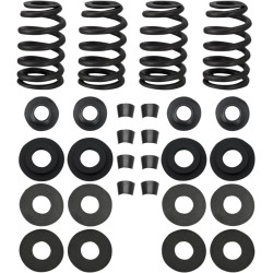 0.585  Street Performance Valve Spring Kit
