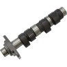 Camshaft Stage 2