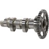 Camshaft Stage 2