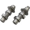 Cam Set for Chain Drive