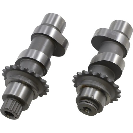 Cam Set for Chain Drive